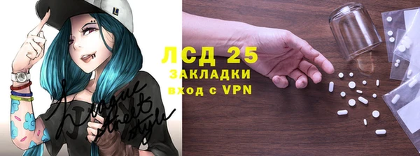 индика Мегион