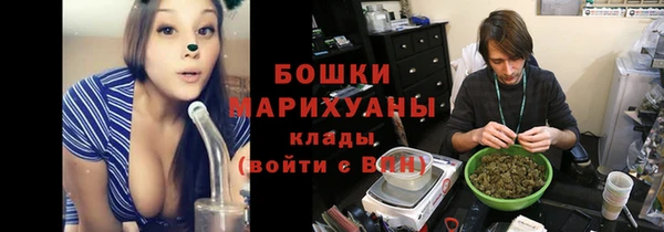 индика Мегион