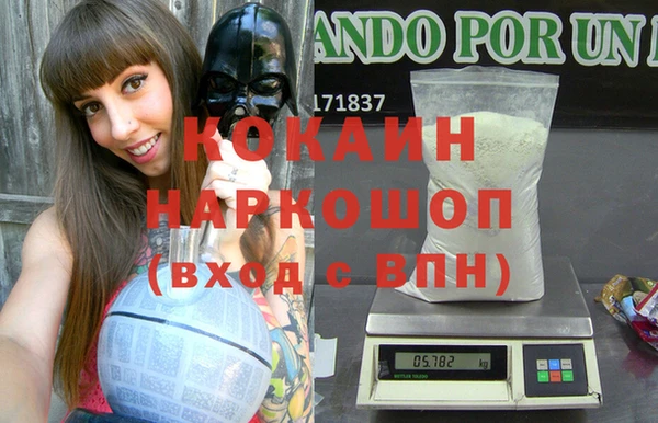 индика Мегион