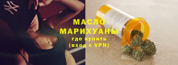 индика Мегион