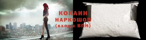 индика Мегион