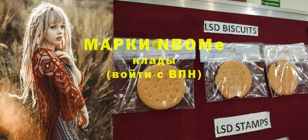 индика Мегион