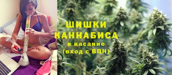 ПСИЛОЦИБИНОВЫЕ ГРИБЫ Медногорск