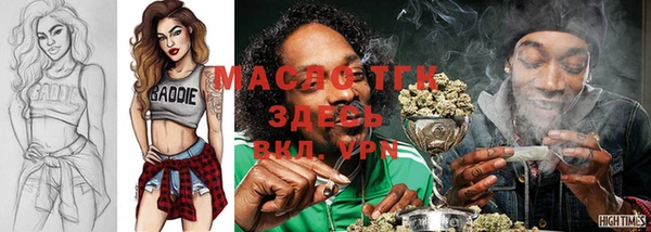 индика Мегион